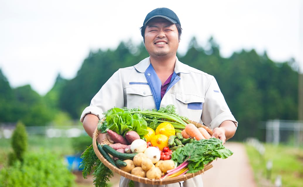 ふるさと納税関連システム・サービス